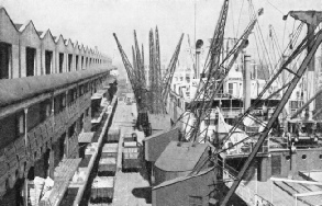 BALES OF INDIAN COTTON being discharged at Manchester Docks