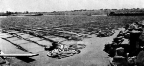 WILLOW MATTRESS floating on the surface of the river Mississippi at the site of main river pier