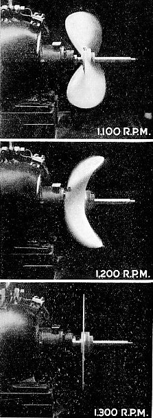 STANDING WAVES caused by vibration in a rubber disk rotating at high speeds