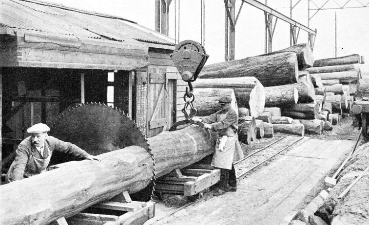 THE CROSS-CUTTING CIRCULAR SAW at the wagon-building works of the London and North Eastern Railway