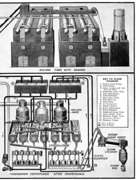 PROCESSES IN THE MANUFACTURE OF WHITE SUGAR