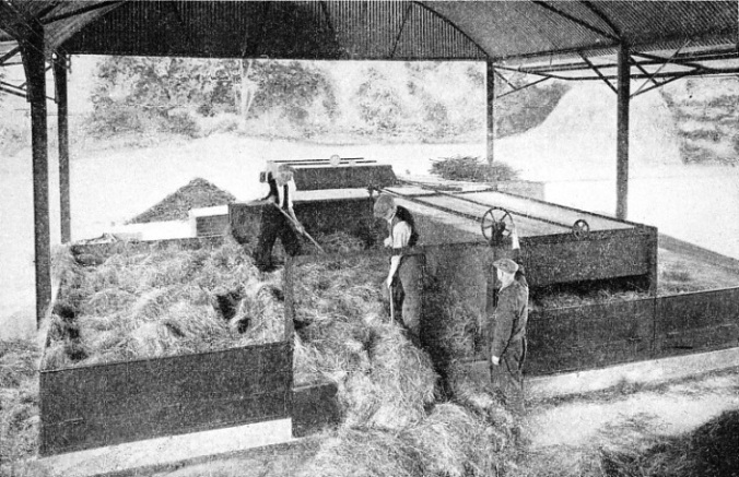 THE CURTIS-HATHEROP MACHINE is arranged to dry grass in two stages