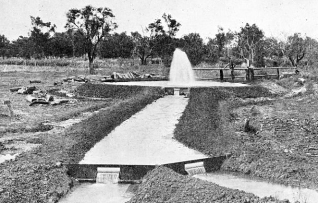 IN NEW SOUTH WALES the Florida artesian bore was sunk in 1905