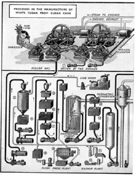 PROCESSES IN THE MANUFACTURE OF WHITE SUGAR