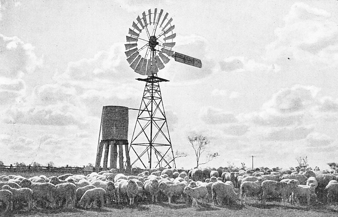 Water for livestock and human consumption is obtained by drilling artesian wells of the Great Artesian Basin