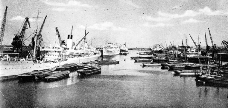 SHIPPING IN SOUTH DOCK, the southernmost of the West India Docks group
