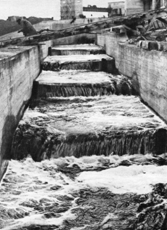 The Fish Ladder at Parteen Villa