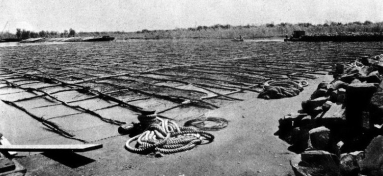 WILLOW MATTRESS floating on the surface of the river Mississippi at the site of main river pier