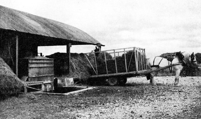 UNLOADING GRASS AT THE DRIER